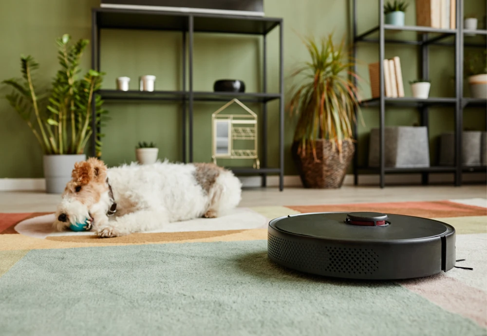 the robot vacuum cleaner